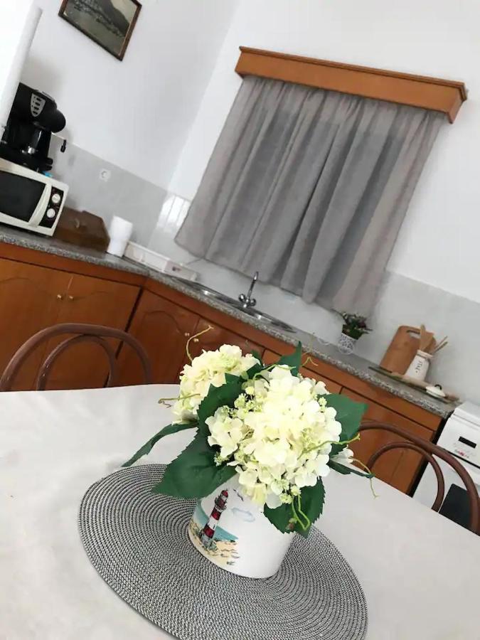 Villa Konstantina Skaliá Exteriér fotografie